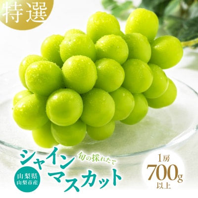 山梨県山梨市産　特選　旬の採れたてシャインマスカット　1房　(700g以上)