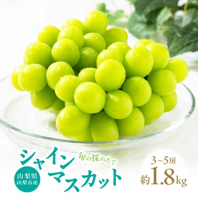 山梨市産 旬の採れたてフルーツ シャインマスカット秀等品 約1.8kg 3～5房