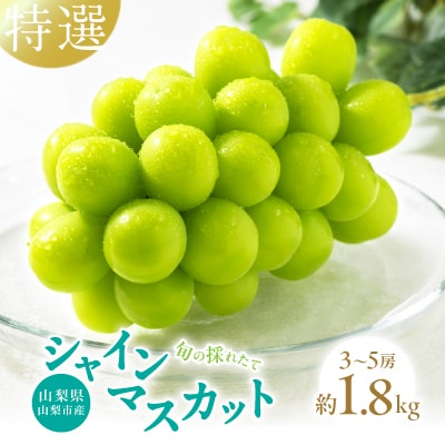 山梨県山梨市産　特選　旬の採れたてシャインマスカット　約1.8kg　3～5房