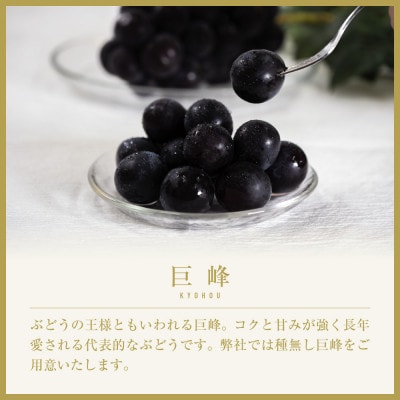 山梨県山梨市産　旬の採れたて巨峰　約1kg　2～3房