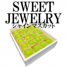 山梨県山梨市産 シャインマスカット ～SWEET JEWELRY～ 20粒