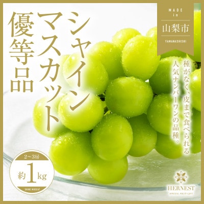 【訳あり】山梨県山梨市産　旬の採れたてシャインマスカット　優等品約1kg2～3房