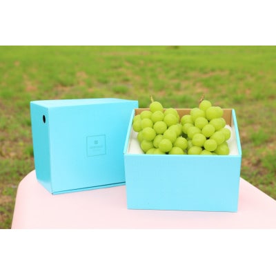 冬季限定!!山梨県山梨市産　クリスマスシャインマスカット　約1kg　2～3房