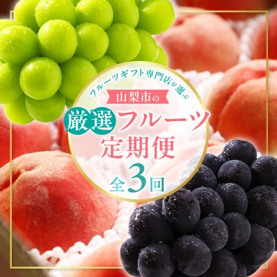 【発送月固定定期便】フルーツギフト専門店が選ぶ山梨市の厳選フルーツ定期便全3回