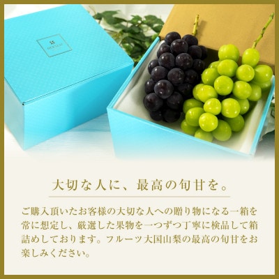 【発送月固定定期便】【夏冬の2回発送】山梨市産シャインマスカット定期便 約1.0kg全2回