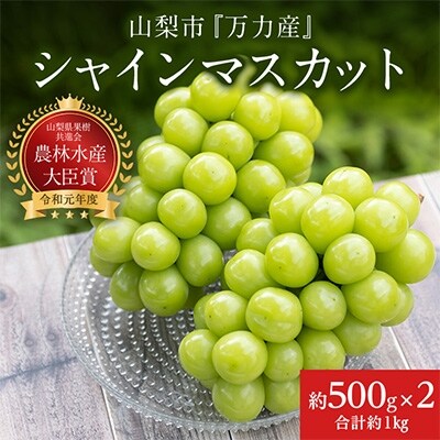 【生産者直送】山梨市『万力産』シャインマスカット2房(1房500g程度)