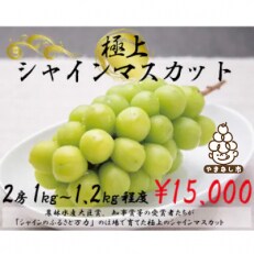 【生産者直送】山梨市『万力』極上シャインマスカット2房(計1kg～1.2kg程度) | ふるさと納税のお礼品
