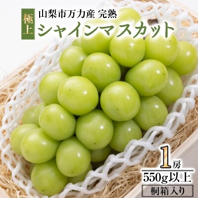 【贈り物に!】【桐箱入り】山梨市『万力産』生産者直送　完熟極上シャインマスカット(1房550g以上)の詳細はこちら