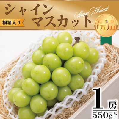 桐箱入り完熟極上シャインマスカット!お中元やギフトに!【1房550g以上】