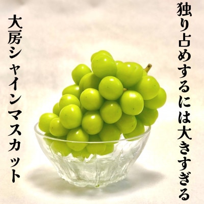 【桐箱入り】極大シャインマスカット1房1kg以上【ギフトにも】