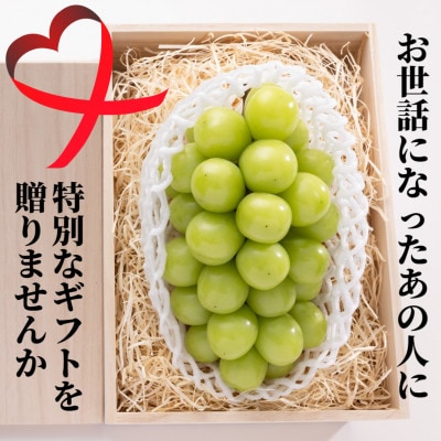 【桐箱入り】極大シャインマスカット1房1kg以上【ギフトにも】