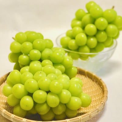 【2026年先行受付】訳あり!生産者直送シャインマスカット 計1kg【味には妥協なし!】