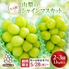 【寄付金額変更 13,000円→12,000円】シャインマスカット 2~3房 1.1kg以上 山梨産