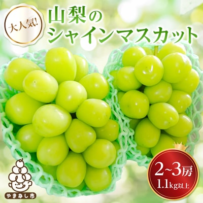 大人気!山梨のシャインマスカット2～3房　1.1kg以上 ふるさと...