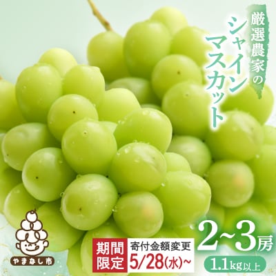 【2026年発送 先行受付】シャインマスカット 2~3房 1.1kg以上 山梨産