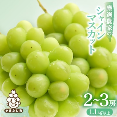 【2026年発送 先行受付】シャインマスカット 2~3房 1.1kg以上 山梨産