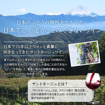 サントネージュワインが贈るおススメ4本セット(1)