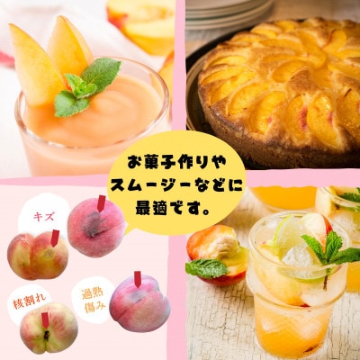 【訳あり】桃 約1.5kg 山梨 の 完熟桃 ご家庭用