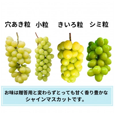 ご家庭用に!『訳あり』シャインマスカット約1.1kg2～3房
