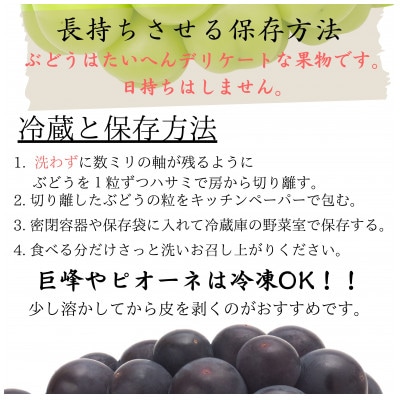 ご家庭用に!『訳あり』シャインマスカット約1.1kg2～3房
