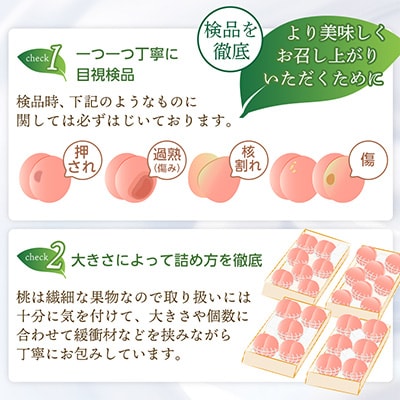 山梨厳選旬の桃 約3kg(8～12玉)