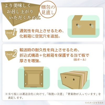 山梨厳選旬の桃 約3kg(8～12玉)