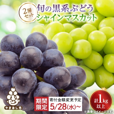 【寄付金額変更 12,000円→11,000円】山梨産シャインマスカットと黒系葡萄2色セット