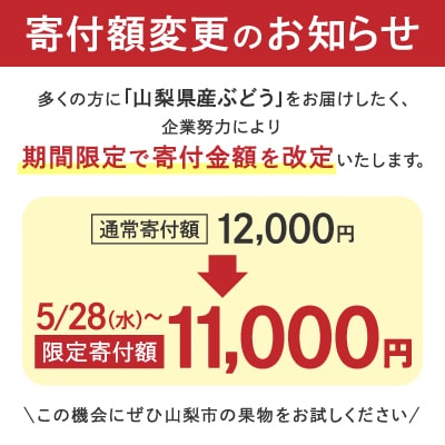 【寄付金額変更 12,000円→11,000円】山梨産シャインマスカットと黒系葡萄2色セット