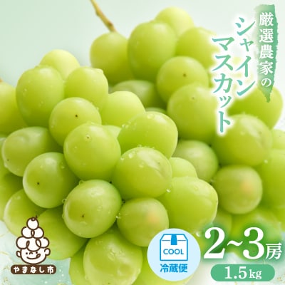 【2027年発送 先行受付】　シャインマスカット　2～3房 1.5kg