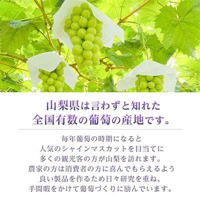 【2027年発送 先行受付】　シャインマスカット　2房 1kg