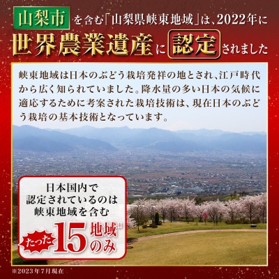 【2027年発送 先行受付】　シャインマスカット　2房 1kg