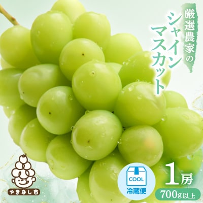 【2026年発送 先行受付】厳選農家のシャインマスカット 700g以上 1房　化粧箱入り