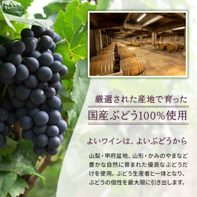 サントネージュワインおすすめ赤ワイン3本セット