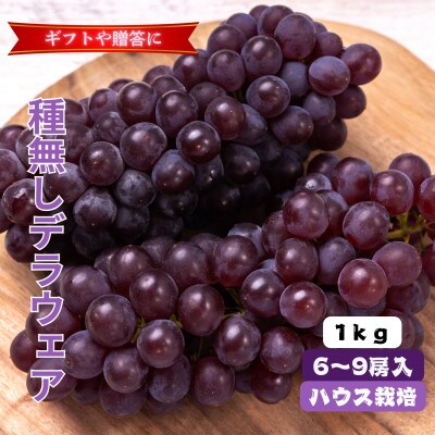 山梨市産ハウスデラウェア  1kg (6～9房)