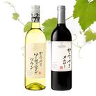 サントネージュワインが贈るメルロー/ソーヴィニヨンブラン 赤白 計2本セット