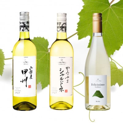 山梨市おすすめ白ワイン3本セット(1)