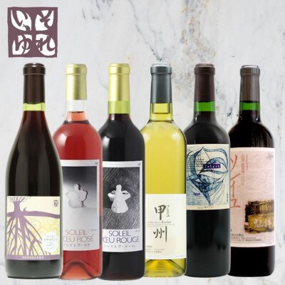 旭洋酒　山梨ワイン満喫6本セット