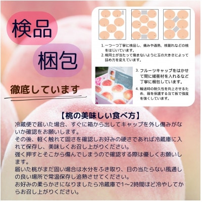 【発送月固定定期便】山梨夏の味覚定期便〈桃 約2kg/シャインマスカット 1.1kg以上〉全2回