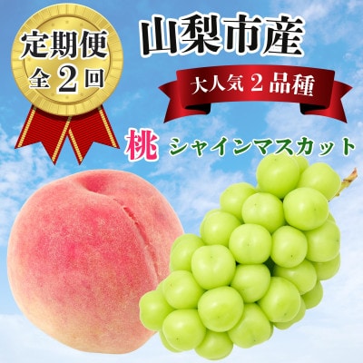 【発送月固定定期便】山梨夏の味覚定期便〈桃 1.8kg/シャインマスカット 1.1kg以上〉全2回