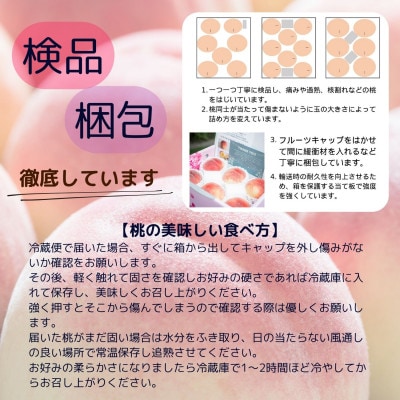 【発送月固定定期便】山梨夏の味覚定期便〈桃 1.8kg/シャインマスカット 1.1kg以上〉全2回