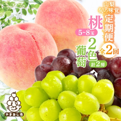 【発送月固定定期便】山梨旬の味覚定期便【桃 約2kg/2色葡萄 1kg以上】全2回