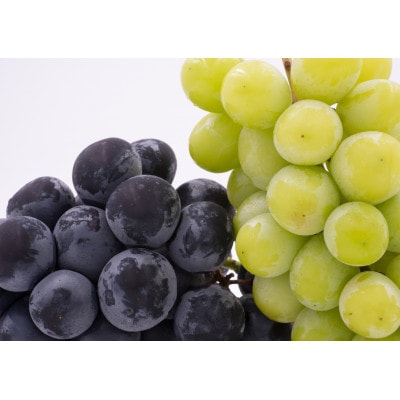 【発送月固定定期便】山梨旬の味覚定期便【桃 約2kg/2色葡萄 1kg以上】全2回