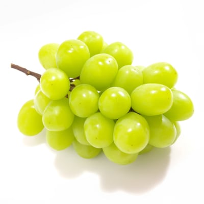 【発送月固定定期便】山梨旬の味覚定期便【桃 約2kg/2色葡萄 1kg以上】全2回