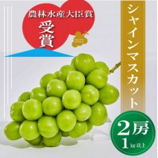 【農林水産大臣賞受賞!!】シャインマスカット 2房　1kg以上※2023年9月以降発送 | ふるさと納税のお礼品