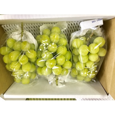 【完全自社生産】シャインマスカット 3~4房 約2kg
