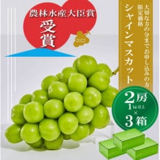 【農林水産大臣賞受賞!!】シャインマスカット2房 1KG以上×3箱※2023年9月以降発送