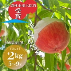 【2023年6月下旬より順次発送予定】山梨県産白桃　5~9玉　2kg以上