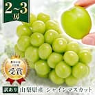 【先行受付 2026年発送】【訳あり】シャインマスカット 2～3房 1kg以上