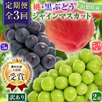 【発送月固定定期便】【訳アリ】山梨の桃と黒ぶどう・シャインマスカット全3回