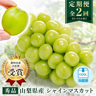 【発送月固定定期便】【農林水産大臣賞受賞!!】山梨のシャインマスカット1房0.5kg以上全2回